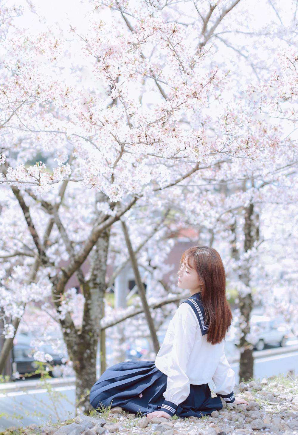 我的爸爸妈妈作文